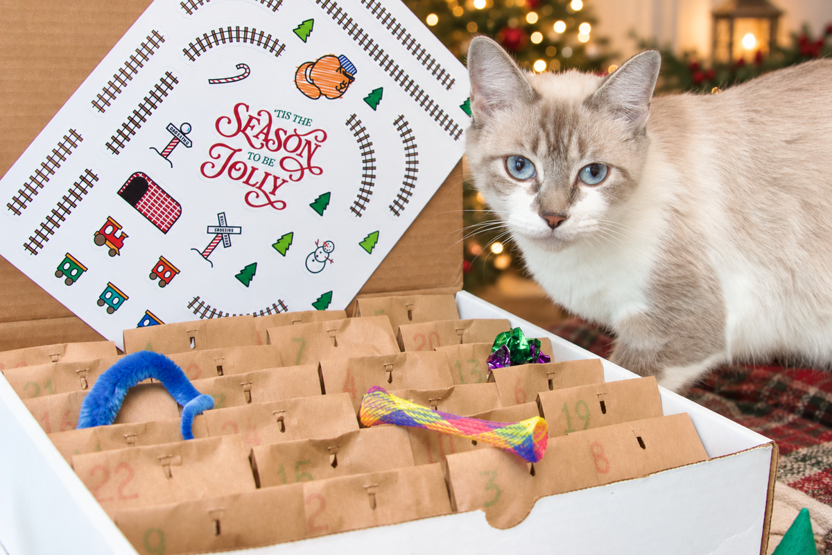 Original cat and advent calendar with a subtle holiday background